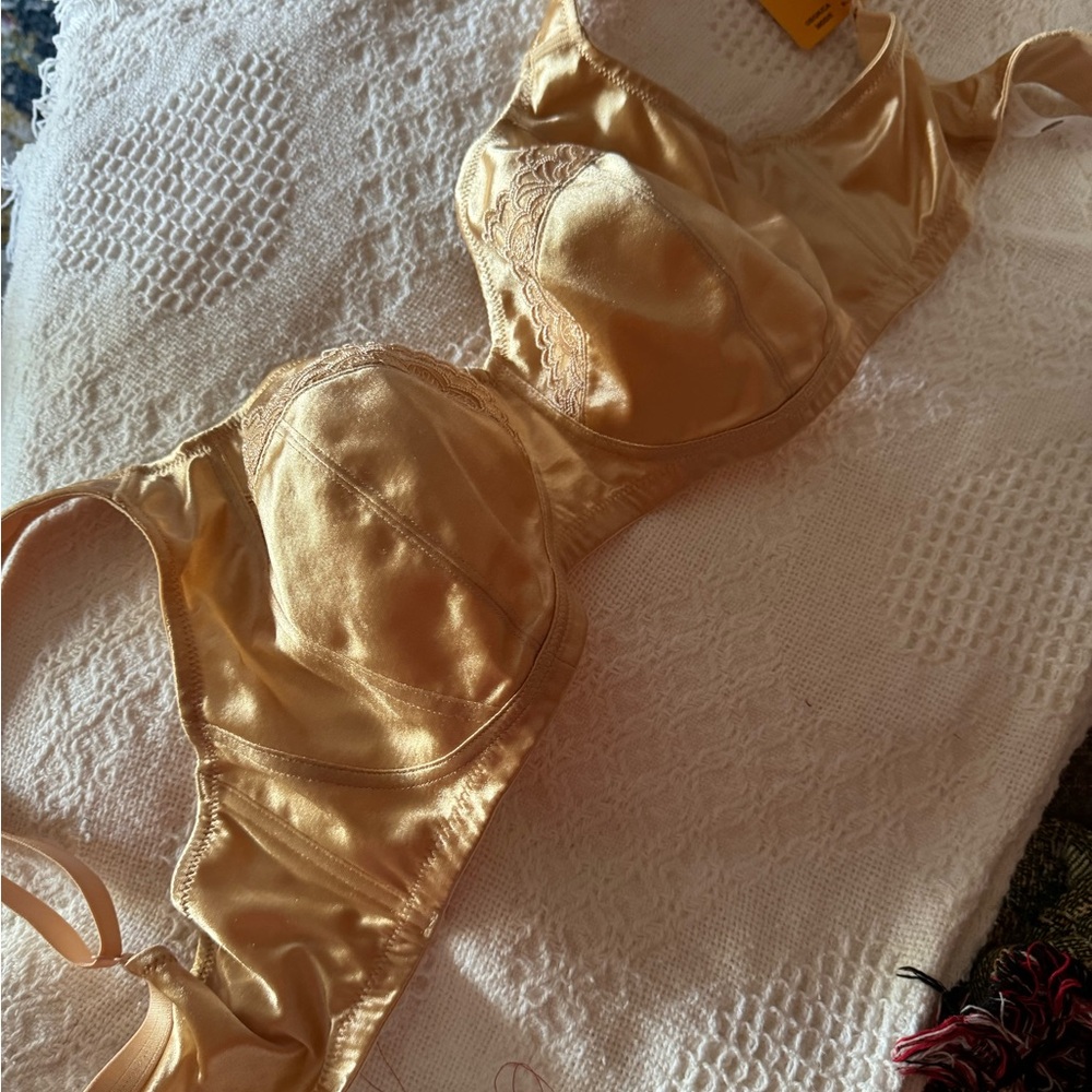 NWT BRA Wings Love
